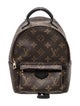 Louis Vuitton LV Monogram Palm Springs Mini
