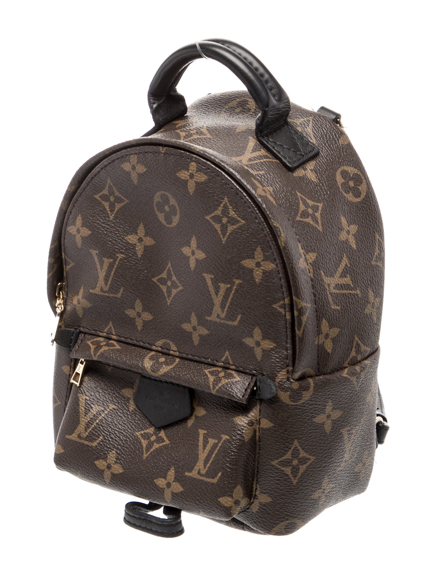 Louis Vuitton LV Monogram Palm Springs Mini