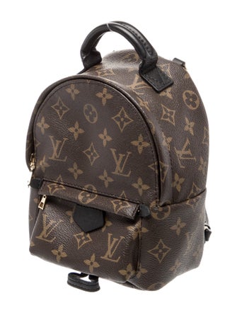 Louis Vuitton LV Monogram Palm Springs Mini