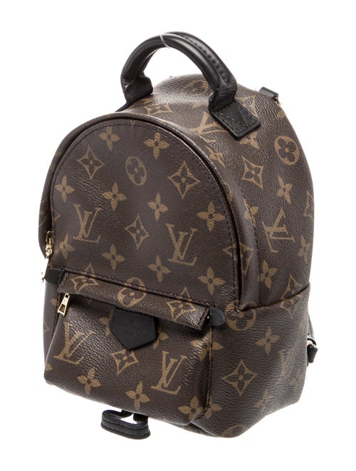 Louis Vuitton LV Monogram Palm Springs Mini
