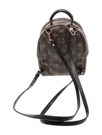 Louis Vuitton LV Monogram Palm Springs Mini