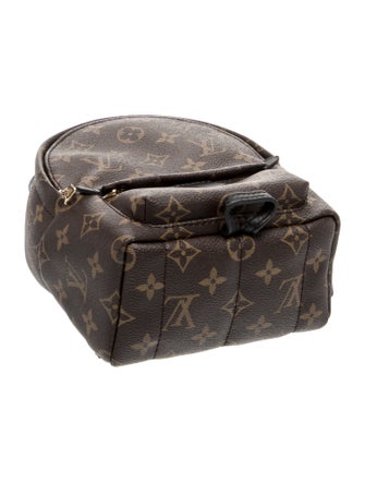Louis Vuitton LV Monogram Palm Springs Mini