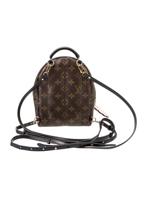 Louis Vuitton LV Monogram Palm Springs