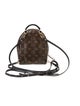 Louis Vuitton LV Monogram Palm Springs