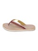 Louis Vuitton Canvas Flip Flops