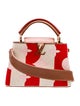 Louis Vuitton Canvas Capucines BB