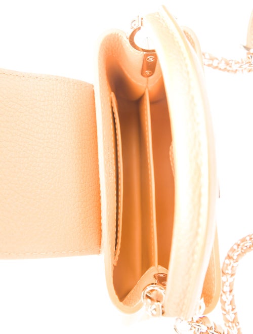 Louis Vuitton Signature Capucines Mini