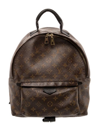 Louis Vuitton LV Monogram Palm Springs MM