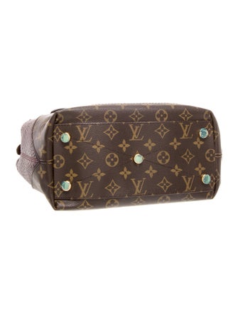Louis Vuitton LV Monogram Majestueux PM