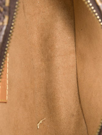 Louis Vuitton LV Monogram Loop