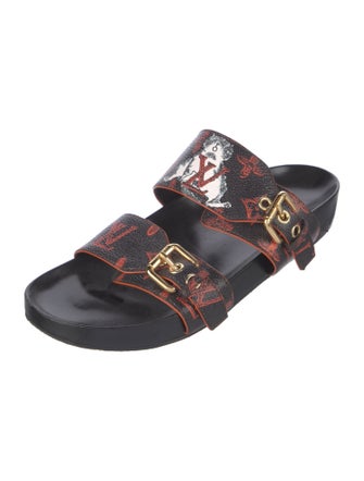 Louis Vuitton Leather Printed Slides