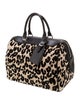 Louis Vuitton Leopard Speedy