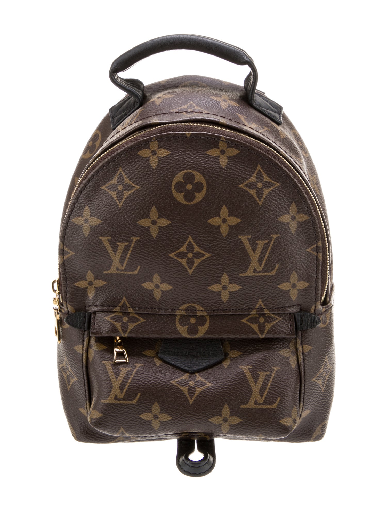 Louis Vuitton LV Monogram Palm Springs Mini