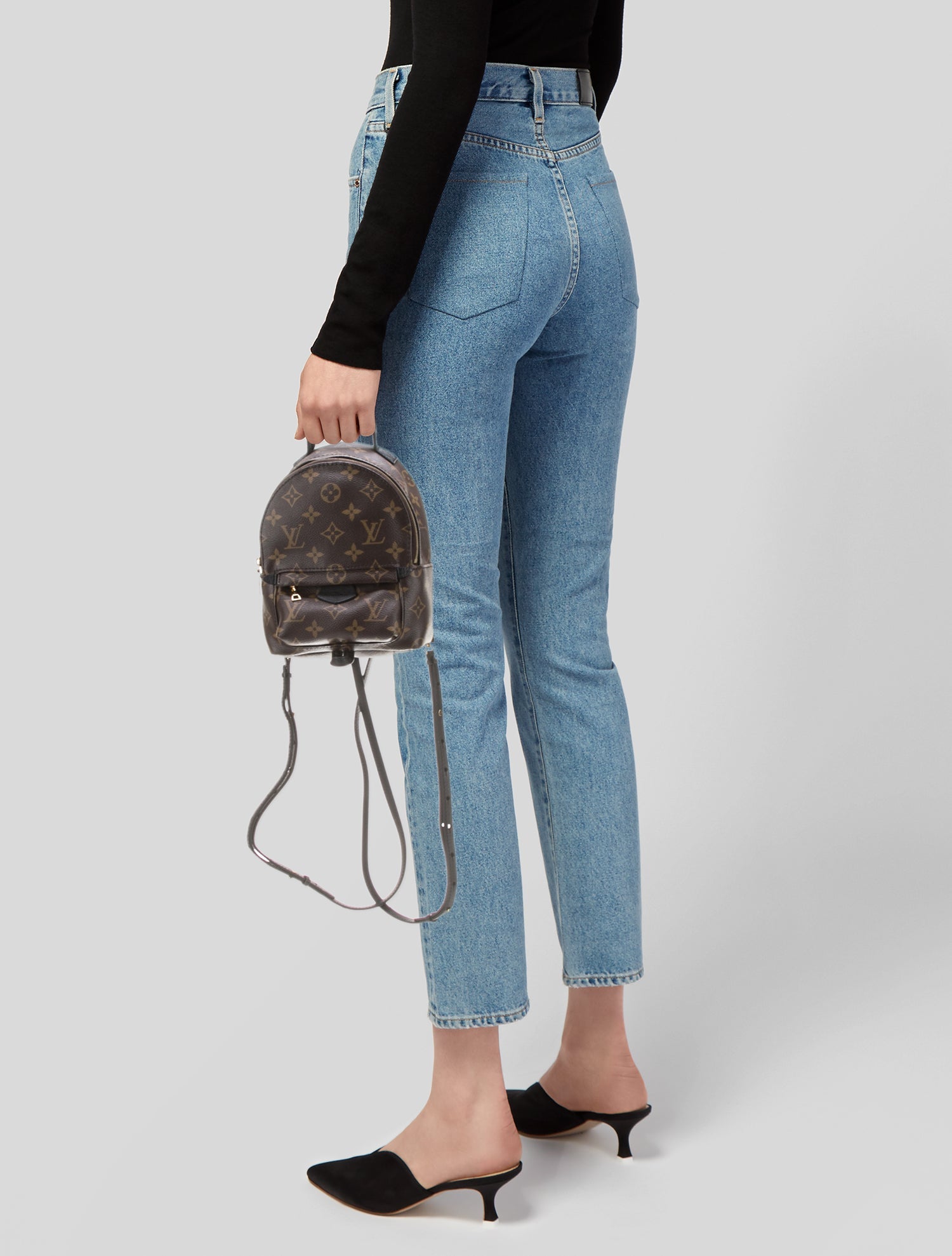 Louis Vuitton LV Monogram Palm Springs Mini