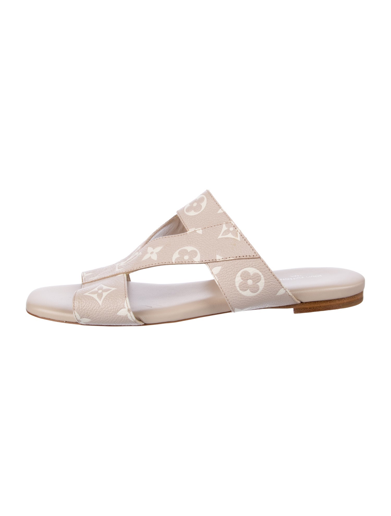 Louis Vuitton 2022 LV Monogram Slides