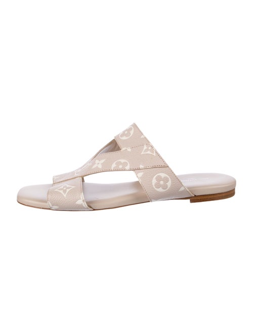 Louis Vuitton 2022 LV Monogram Slides