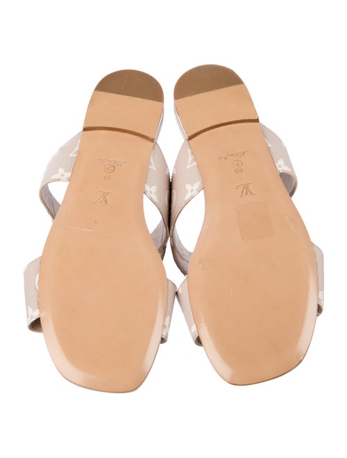 Louis Vuitton 2022 LV Monogram Slides