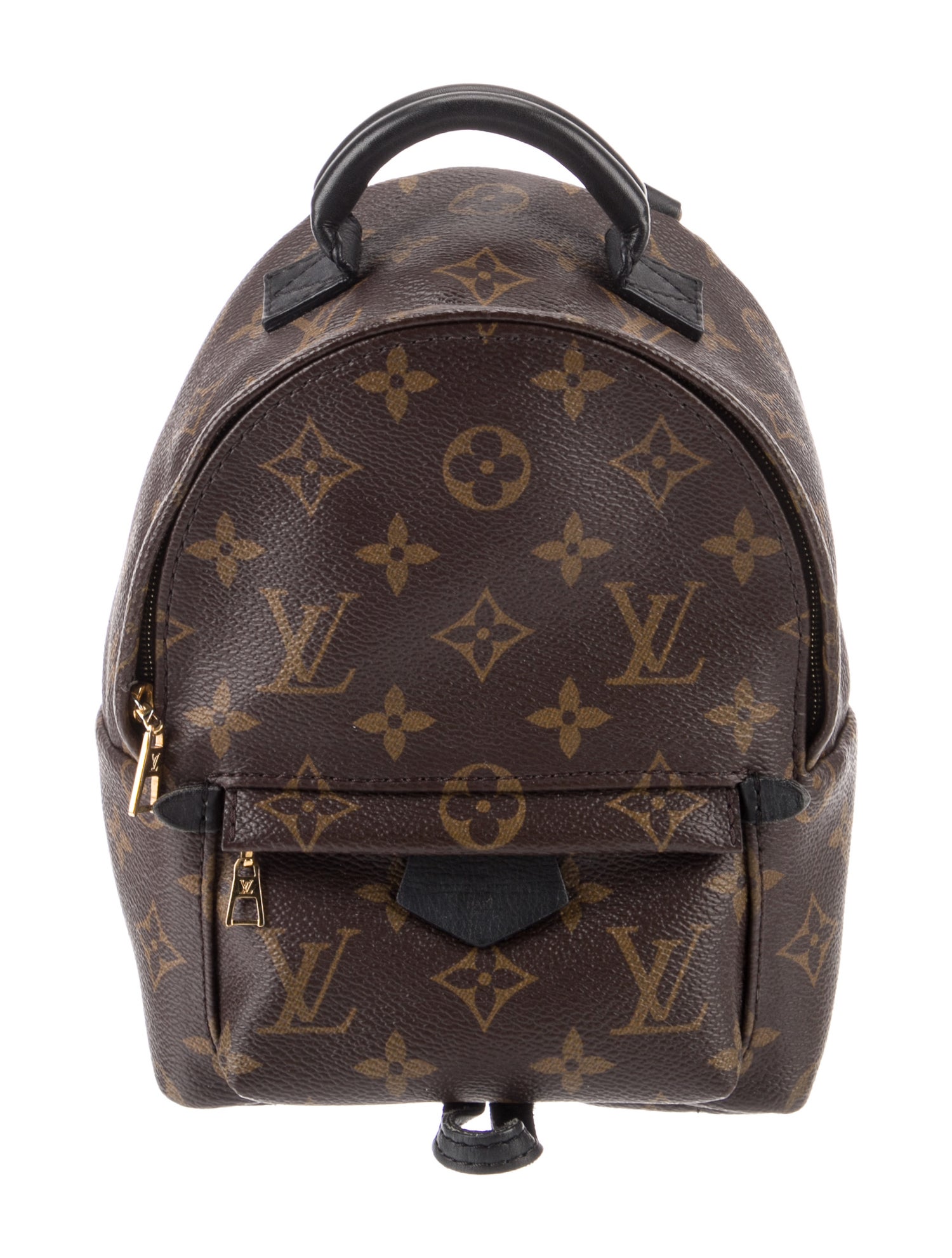 Louis Vuitton LV Monogram Palm Springs Mini