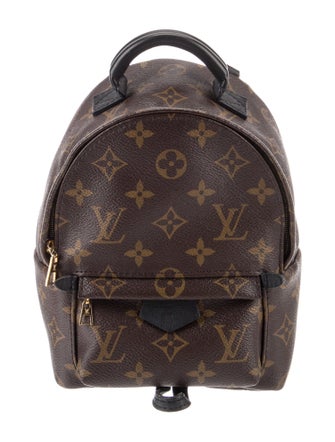 Louis Vuitton LV Monogram Palm Springs Mini