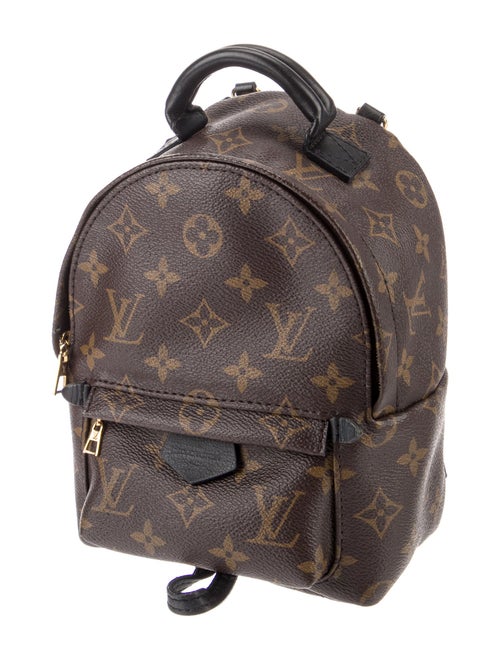 Louis Vuitton LV Monogram Palm Springs Mini
