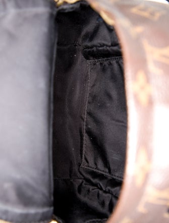 Louis Vuitton LV Monogram Palm Springs Mini