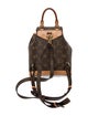 Louis Vuitton LV Monogram Montsouris Mini 2024