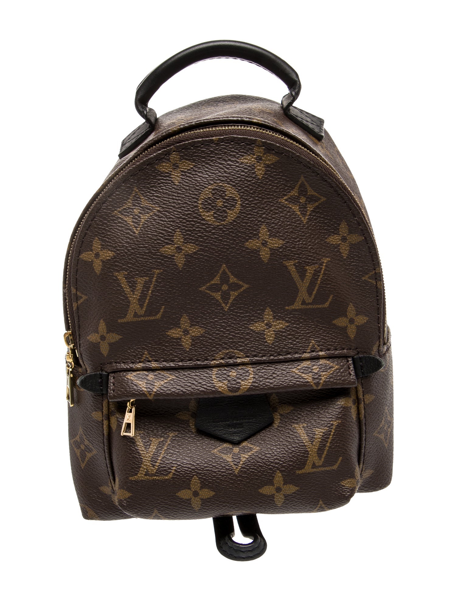 Louis Vuitton LV Monogram Palm Springs Mini