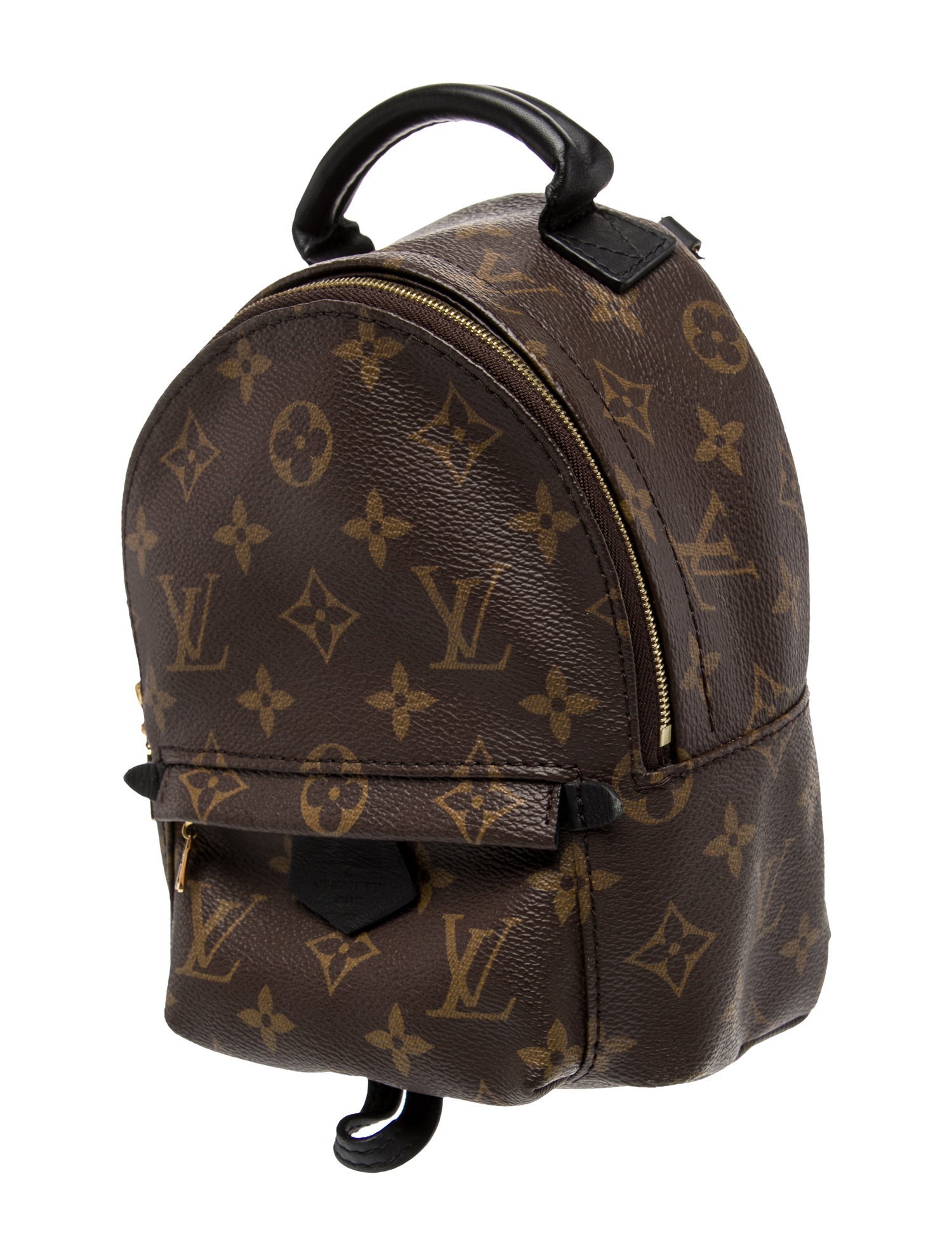 Louis Vuitton LV Monogram Palm Springs Mini
