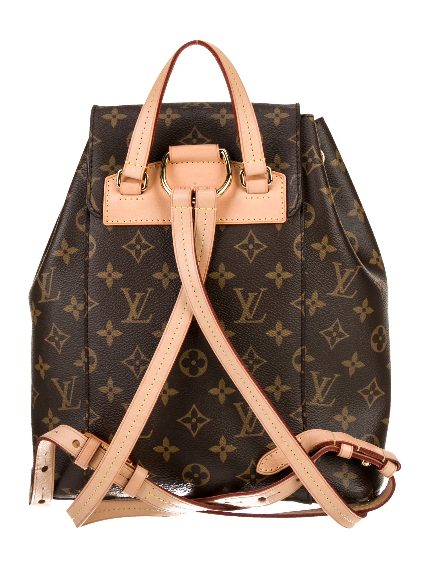 Louis Vuitton LV Monogram Montsouris MM