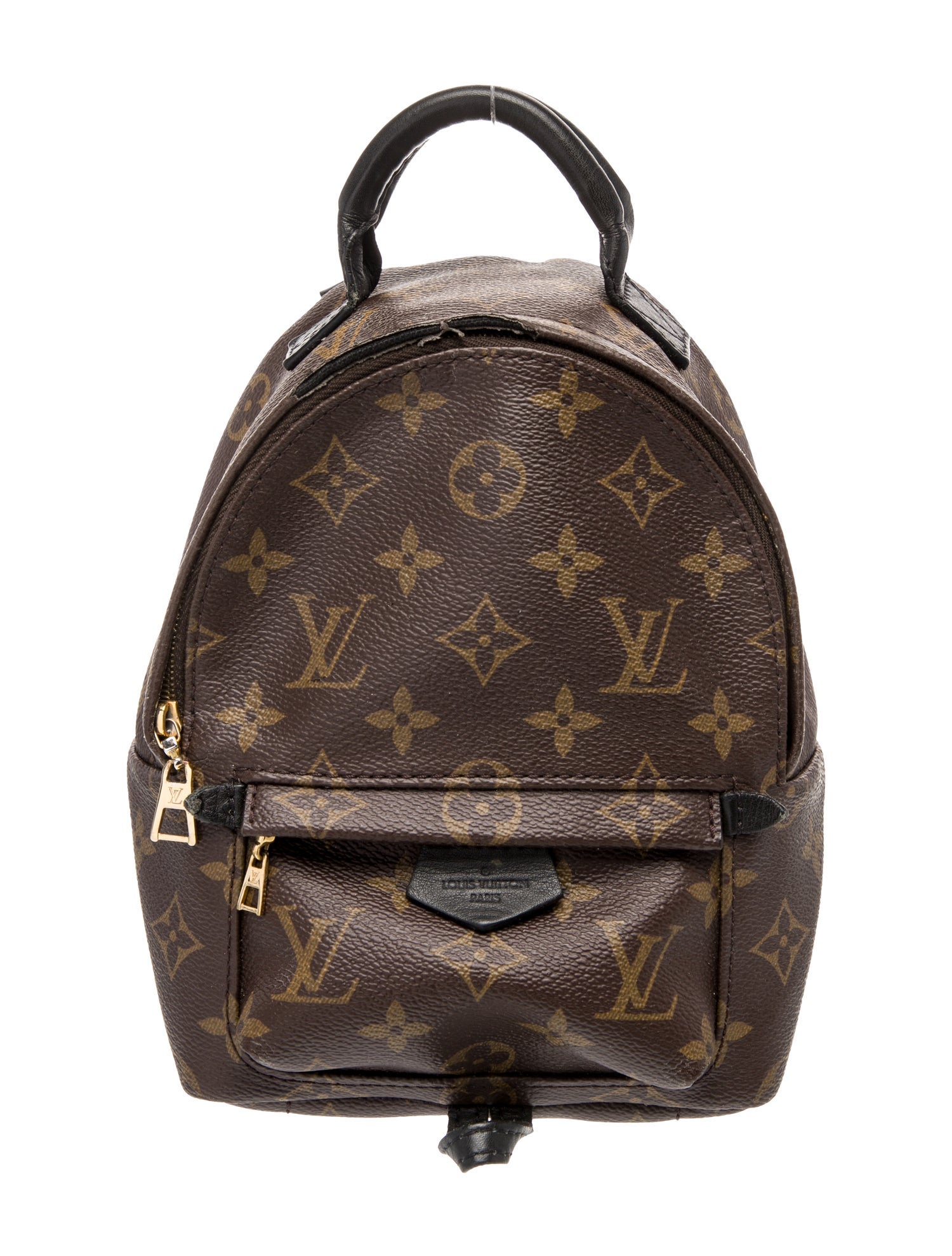 Louis Vuitton LV Monogram Palm Springs Mini