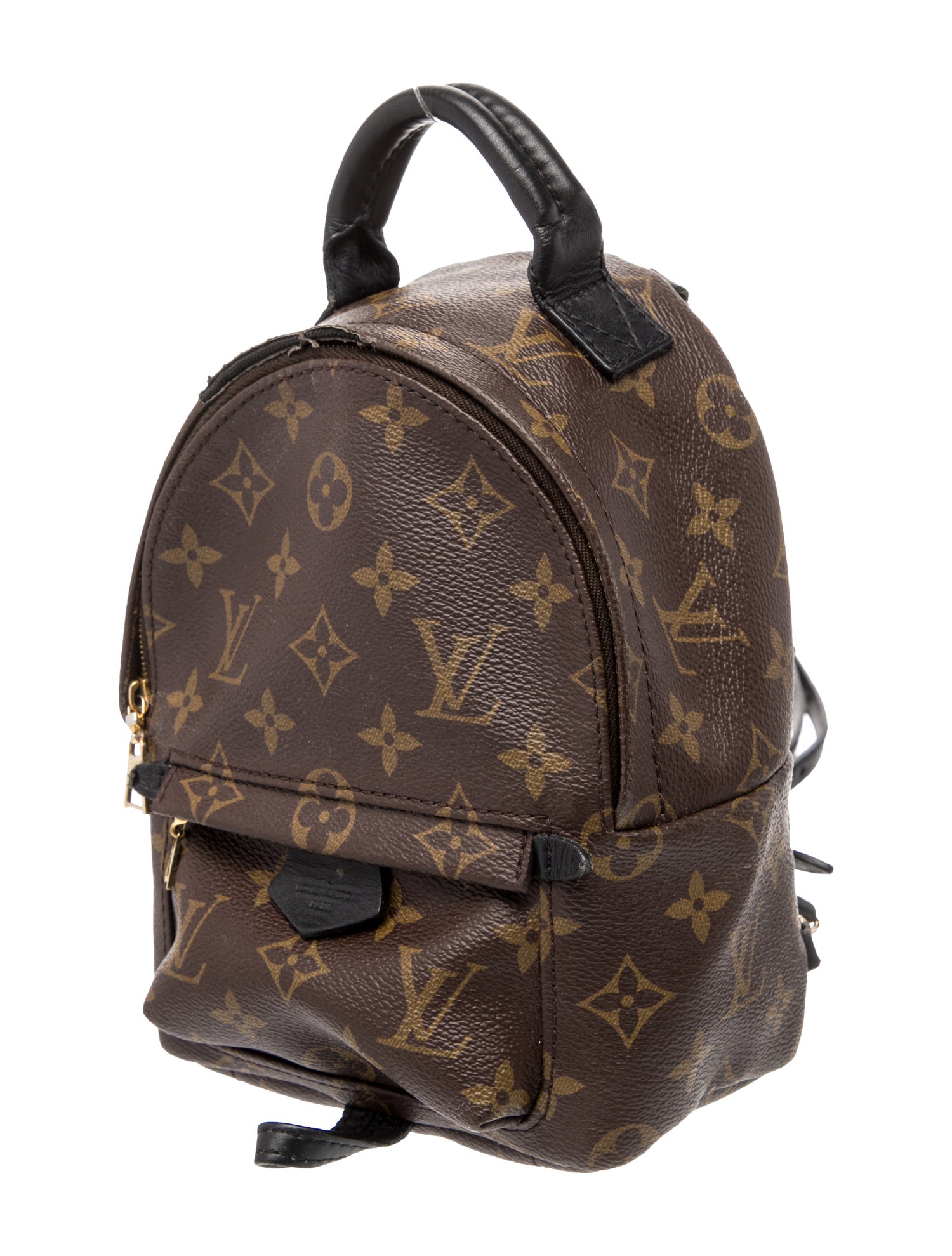 Louis Vuitton LV Monogram Palm Springs Mini