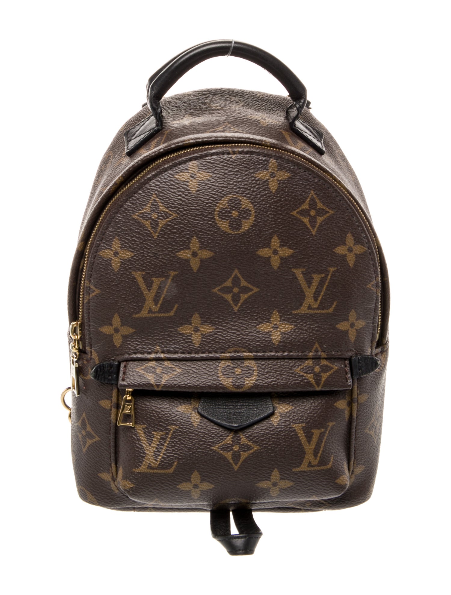 Louis Vuitton LV Monogram Palm Springs Mini