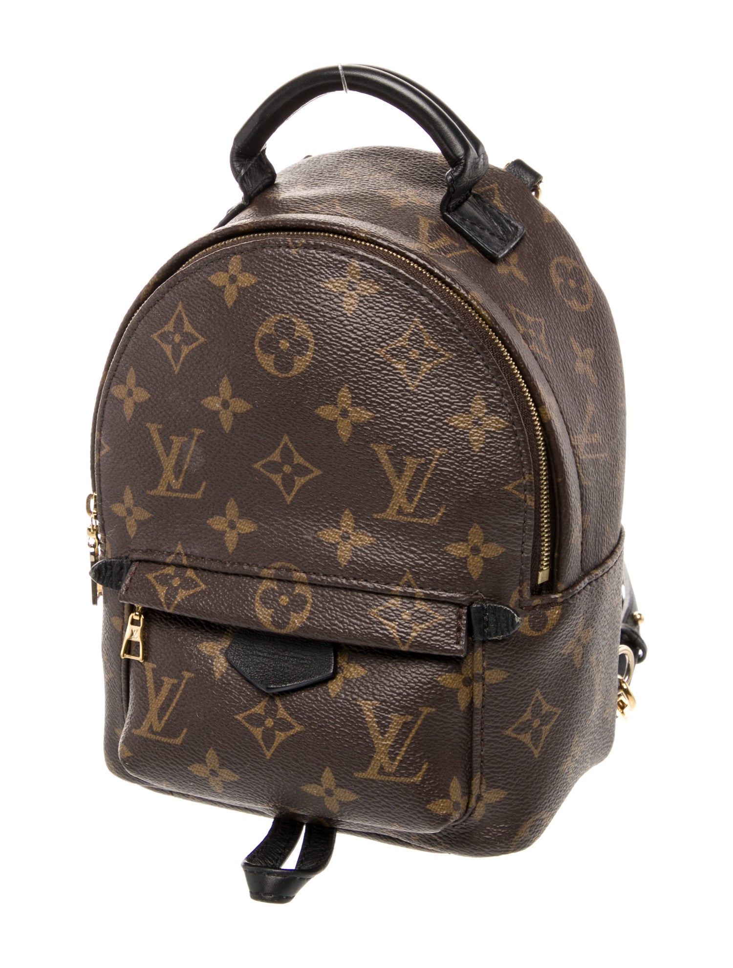 Louis Vuitton LV Monogram Palm Springs Mini