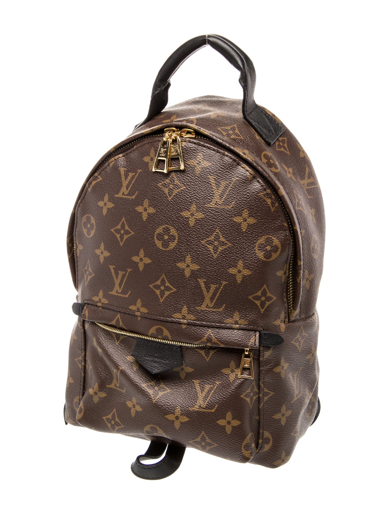 Louis Vuitton LV Monogram Palm Springs PM