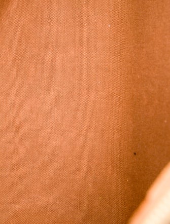 Louis Vuitton LV Monogram Speedy 30