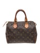Louis Vuitton LV Monogram Speedy 25