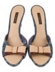 Louis Vuitton Monogram Pattern Denim Slides