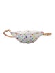 Louis Vuitton Multicolore Monogram High Rise Bumbag 2025