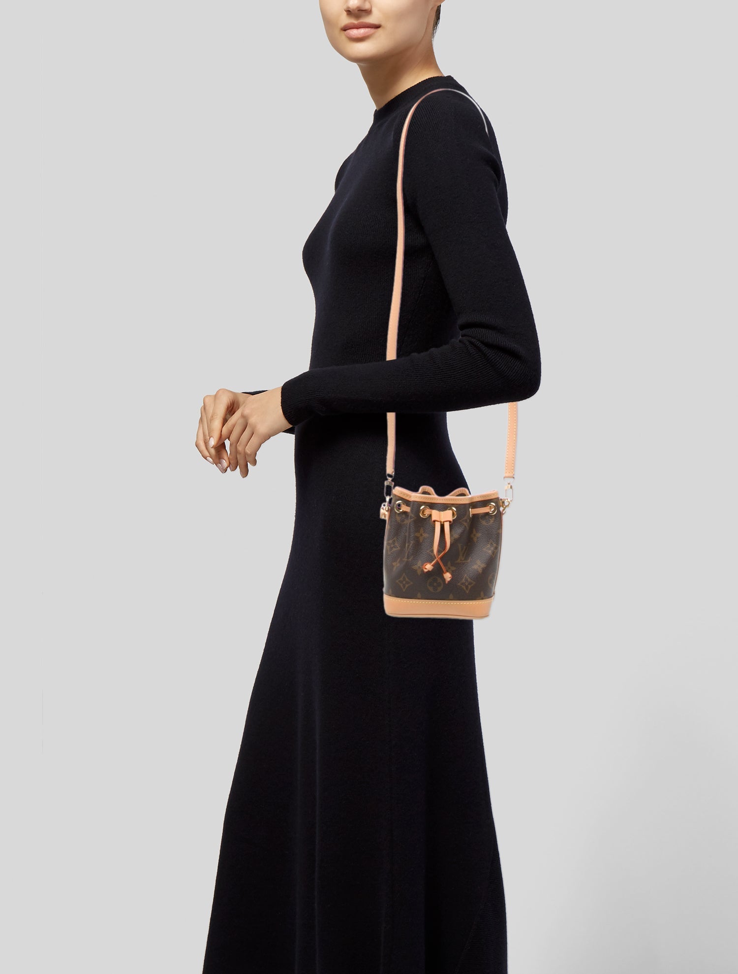 Louis Vuitton LV Monogram Noé Nano