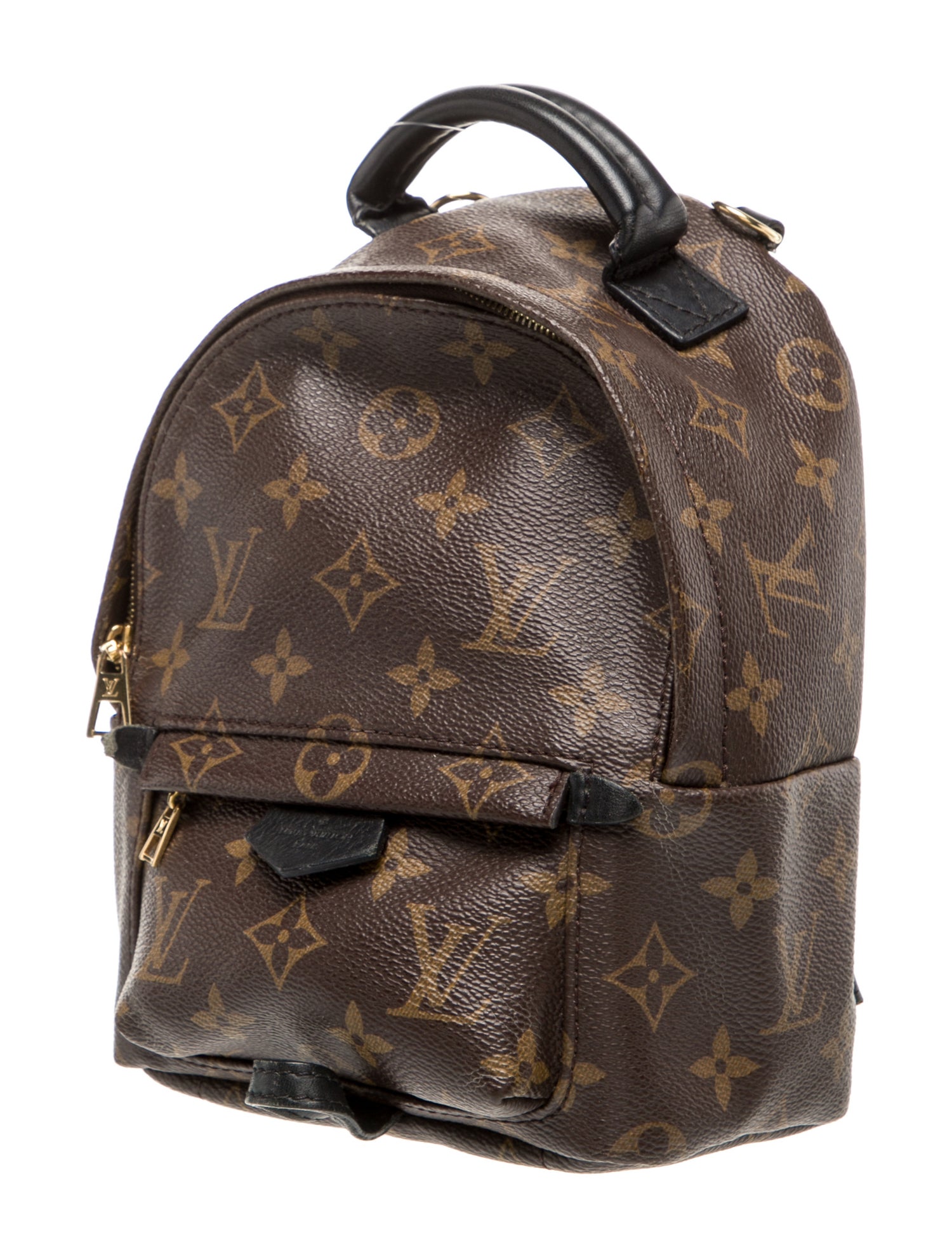 Louis Vuitton LV Monogram Palm Springs Mini