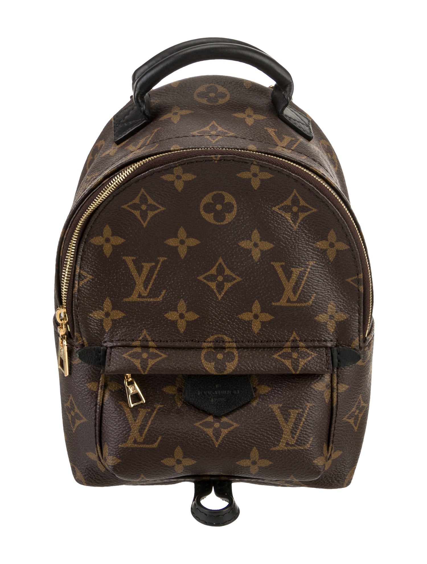 Louis Vuitton LV Monogram Palm Springs Mini