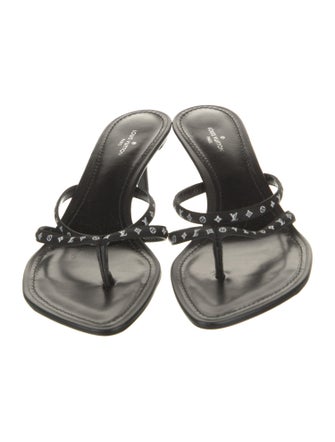 Louis Vuitton LV Monogram Slides