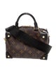 Louis Vuitton LV Monogram Petite Malle Souple