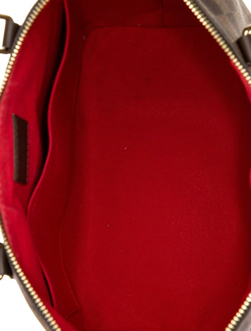 Louis Vuitton Damier Ebene Siena MM