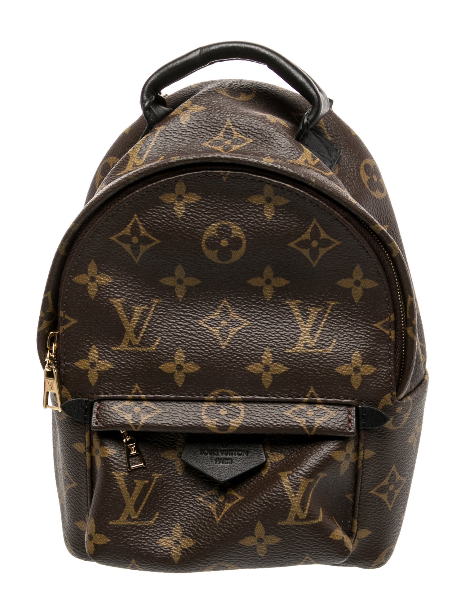 Louis Vuitton LV Monogram Palm Springs Mini