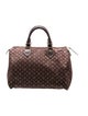 Louis Vuitton Monogram Mini Lin Speedy 30