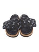 Louis Vuitton LV Monogram Slides