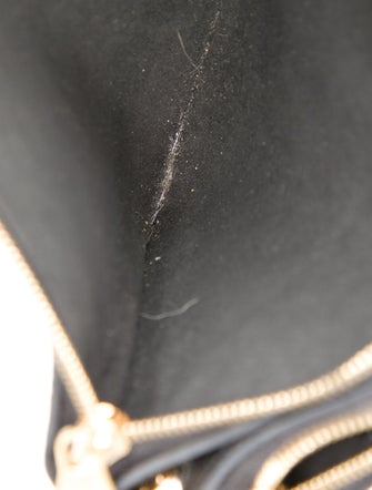 Louis Vuitton LV Monogram Double Zip Pochette