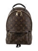 Louis Vuitton LV Monogram Palm Springs PM