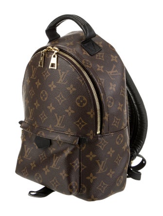 Louis Vuitton LV Monogram Palm Springs PM